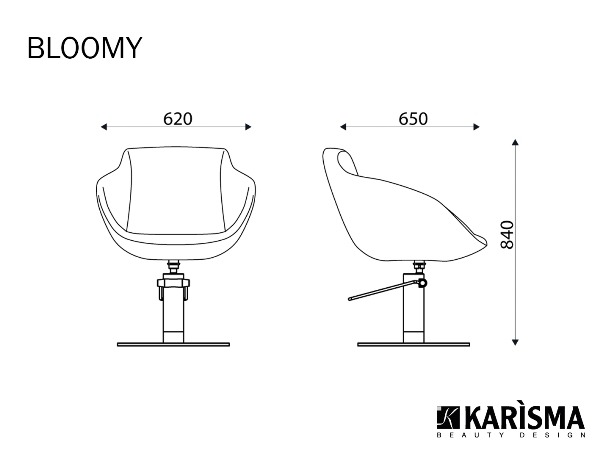 Кресло парикмахерское BLOOMY купить по привлекательной цене 104863 ₽ - вид 1 миниатюра